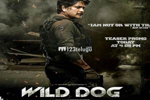 wild dog movie review 123telugu
